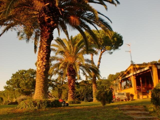 ホテルPuig Gros Montrás エクステリア 写真
